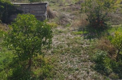 Terrain à BASTELICACCIA (20129) - 3011441943