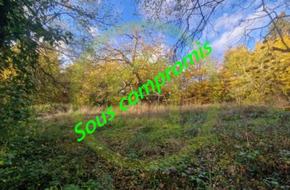 Terrain à BETHEMONT LA FORET (95840) - 3011441999