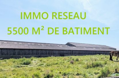 Bâtiment à SAINT HILAIRE DE RIEZ (85270) - 3011442188