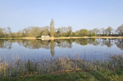 Etang à NEUILLAY LES BOIS (36500)
