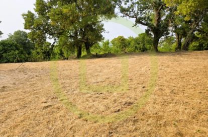 Terrain à SAINT BONNET SUR GIRONDE (17150) - 3011440853