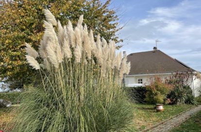 Maison à LA SOUTERRAINE (23300) - 3011441662