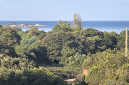 Appartement à PIETROSELLA (20166) - 3011442141