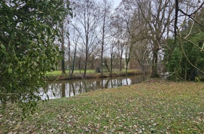 Maison à MEZIERES EN BRENNE (36290) - 3011442661
