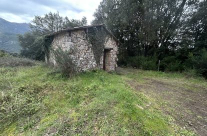 Terrain à VERO (20172) - 3011442779