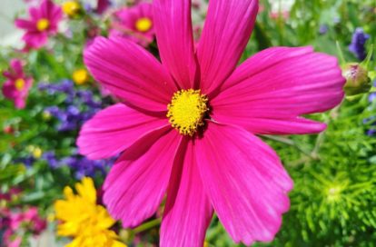 Local commercial à NICE (06000) - 3011443129