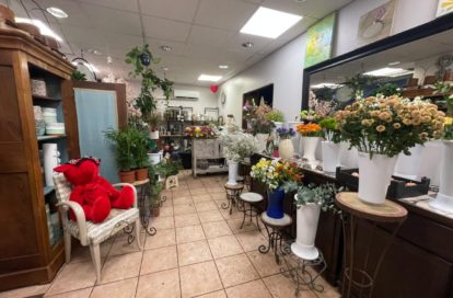 Fleuriste à NICE (06000) - 3011437808