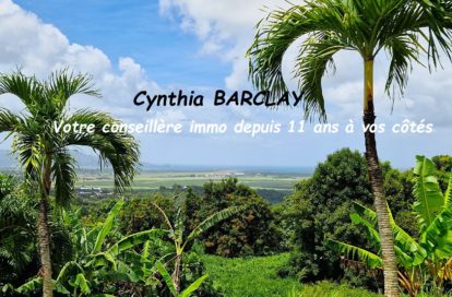 Terrain à LE LAMENTIN (97232) - 3011439321