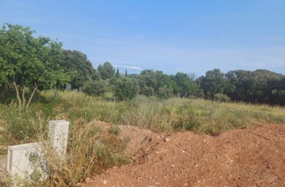 Terrain à CANET (34800) - 3011440277