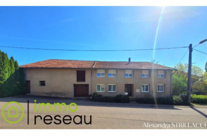 Maison à THICOURT (57380) - 3011440705