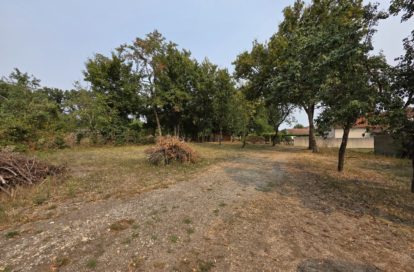 Terrain à LES BORDES (36100) - 3011440958