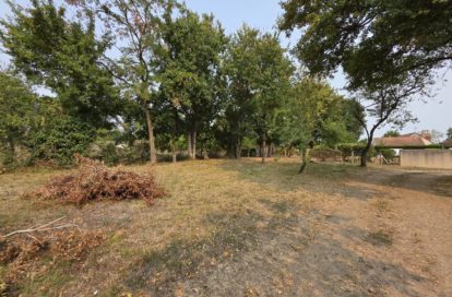 Terrain à LES BORDES (36100) - 3011440958