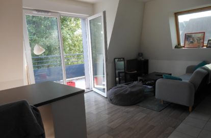Appartement à OLIVET (45160)