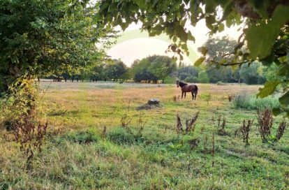 Terrain à LA FLAMENGRIE (59570) - 3011441037