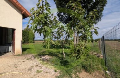 Maison et dépendances à NAVILLY (71270) - 3011441045