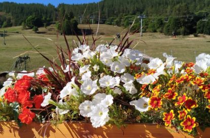 Hôtel – Restaurant à ALLOS (04260) - 3011441344