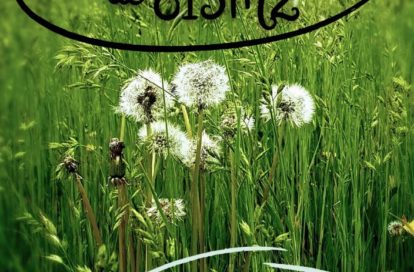 Terrain en lotissement à AUBIGNOSC (04200) - 3011441446