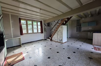 Maison à SAINT BENOIT DU SAULT (36170) - 3011441826