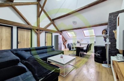 Appartement à HUSSIGNY GODBRANGE (54590) - 3011441866