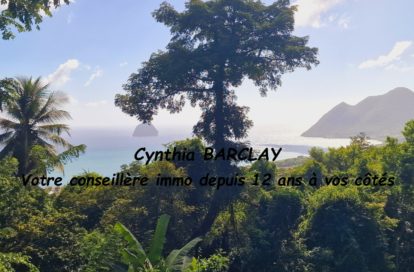 Maison de campagne à LE DIAMANT (97223) - 3011442000