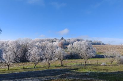Maison à BOSSAY SUR CLAISE (37290) - 3011442475