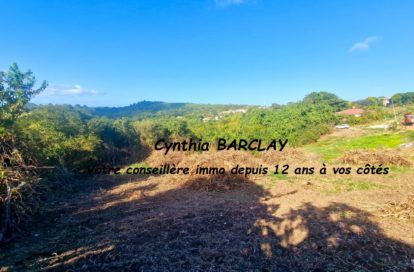 Terrain constructible à LE MARIN (97290) - 3011442843