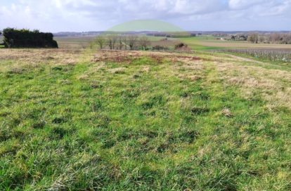 Terrain à SAINT MAIGRIN (17520) - 3011442902