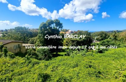 Terrain constructible à FORT DE FRANCE (97200) - 3011442953