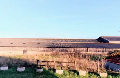 Bâtiment à SAINT HILAIRE DE RIEZ (85270) - 3011443103