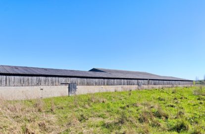 Bâtiment à SAINT HILAIRE DE RIEZ (85270) - 3011443103