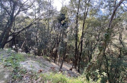 Terrain à MENTON (06500) - 3011443308