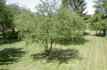 Terrain à ESMANS (77940) - 3011443314