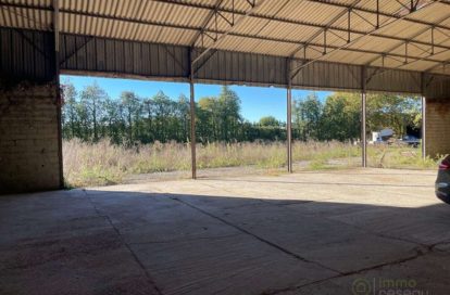 Hangar à LE THOR (84250) - 3011443393