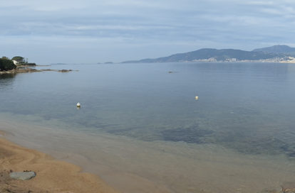 Appartement à GROSSETO PRUGNA (20128) - 3011443471