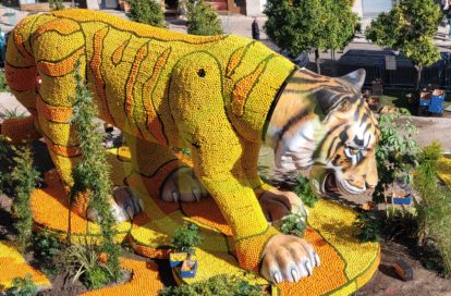 Appartement à MENTON (06500) - 3011437802