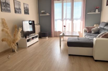 Appartement à SAINT JEAN DE LA RUELLE (45140)