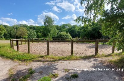 Haras / Equestre à BETHEMONT LA FORET (95840) - 3011440127