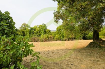 Terrain à SAINT BONNET SUR GIRONDE (17150) - 3011440854