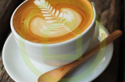 Snack à SAINT LAURENT DU VAR (06700) - 3011440937