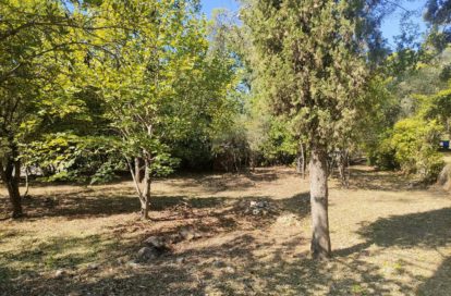 Terrain à lotir à NEOULES (83136) - 3011441194