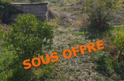 Terrain à BASTELICACCIA (20129) - 3011441943