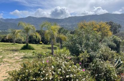 Maison à CALCATOGGIO (20111) - 3011442481