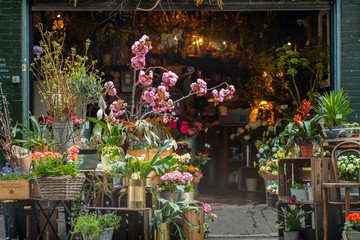 Fleuriste à PARIS 17EME ARRONDISSEMENT (75017) - 3011442775