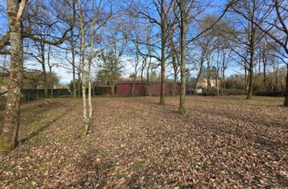 Terrain à DUN LE POELIER (36210) - 3011442816