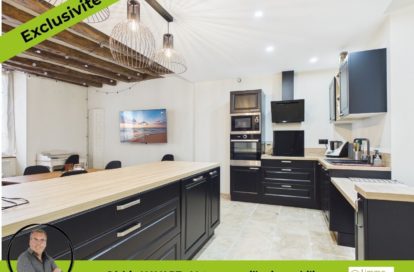 Maison à LE BLANC (36300) - 3011443088