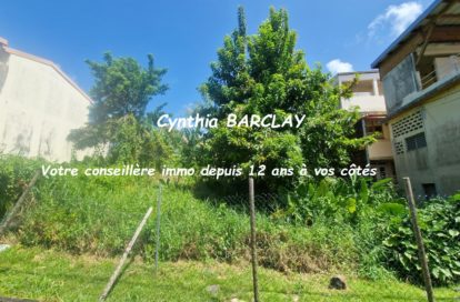 Terrain à SAINT ESPRIT (97270) - 3011443137