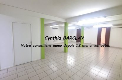 Locaux d&rsquo;activité à RIVIERE SALEE (97215) - 3011443193