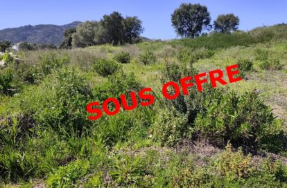 Terrain à AJACCIO (20090) - 3011443195