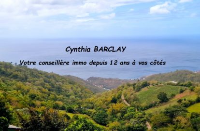 Maison à BELLEFONTAINE (97222) - 3011443252