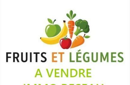 Alimentation à SAINT GILLES CROIX DE VIE (85800) - 3011443364
